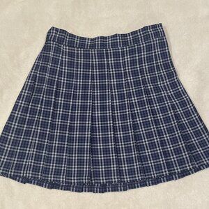 Small Blue Plaid Skirt